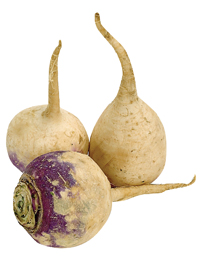 turnip